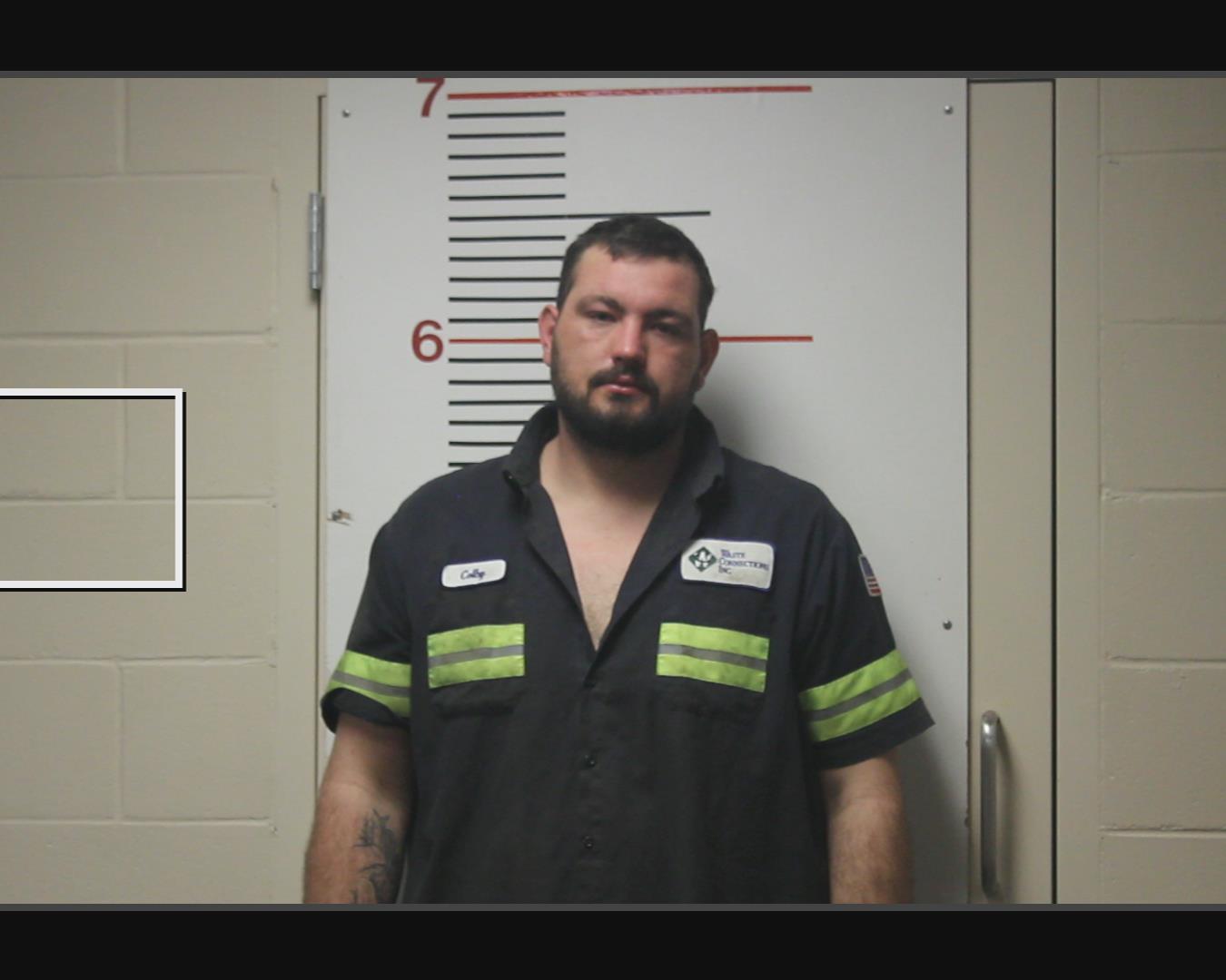 ARTZ, COLBY JO booking photo