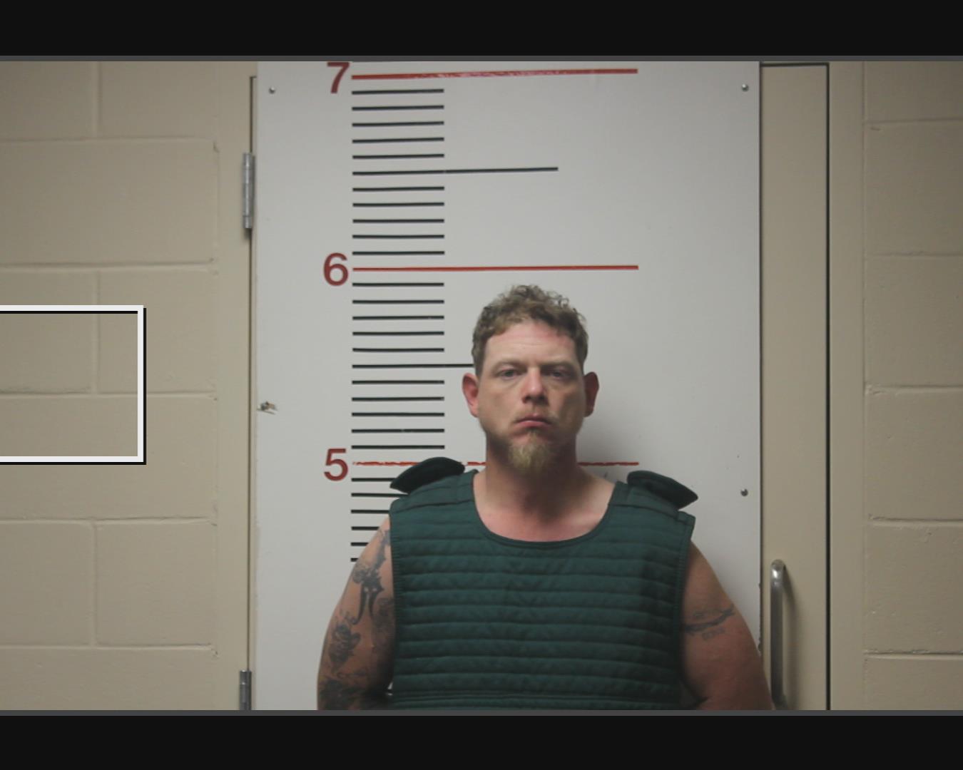 BROWN, JODY COTTON booking photo