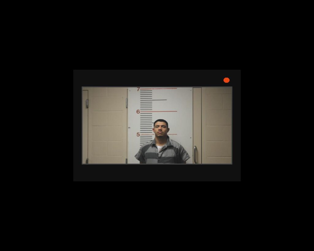 TREVINO FRAUSTO, LUIS GERMAN arrested in Anderson County, Texas mugshot