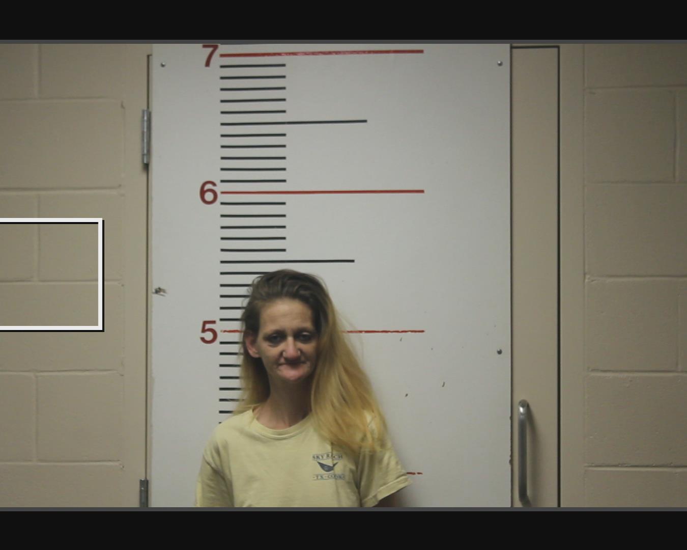 GARNER, MELISSA ANN booking photo