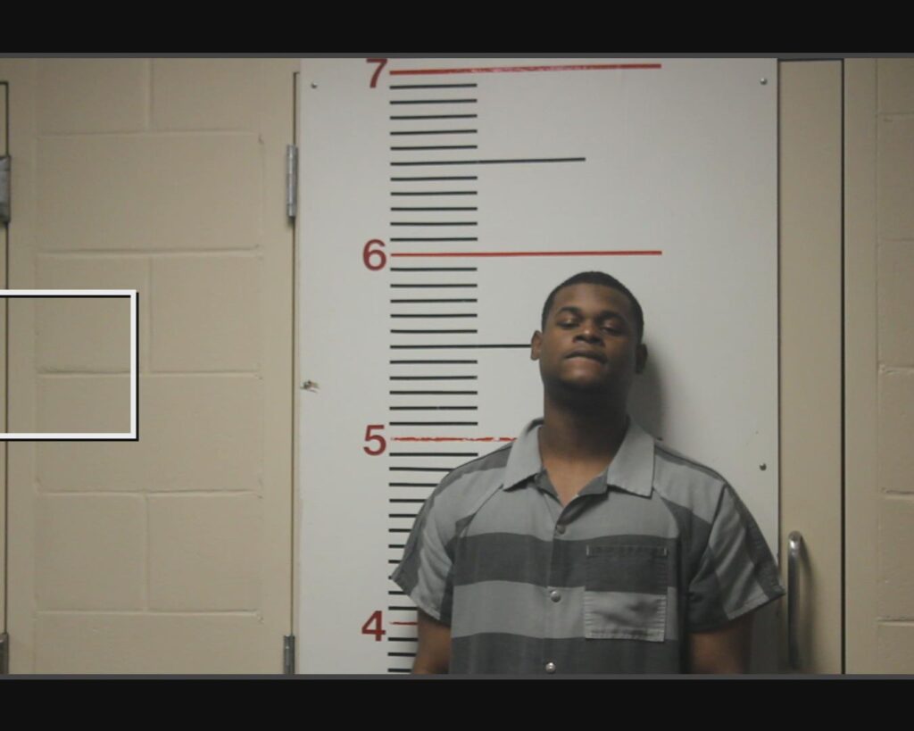 JACKSON, DERLUNDRIC D arrested in Anderson County, Texas mugshot