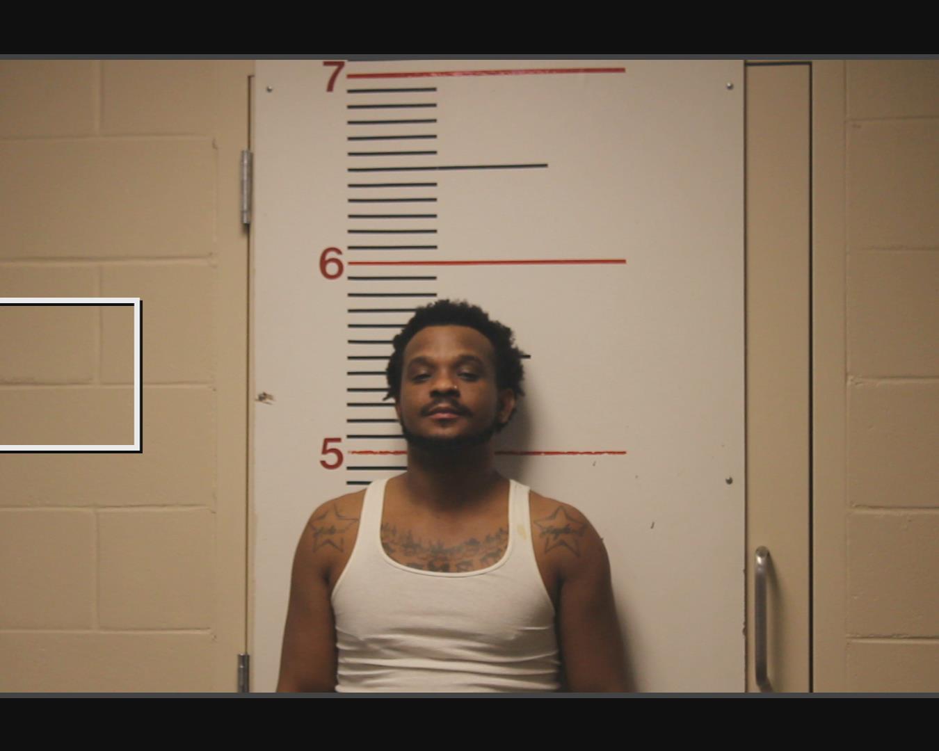 SAVAGE, MICHAEL booking photo