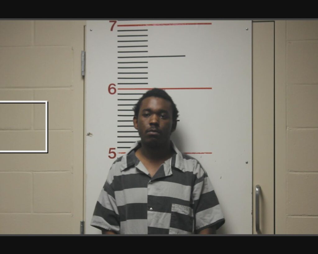 TERRELL, CORNEILOUS DE SHAWN arrested in Anderson County, Texas mugshot