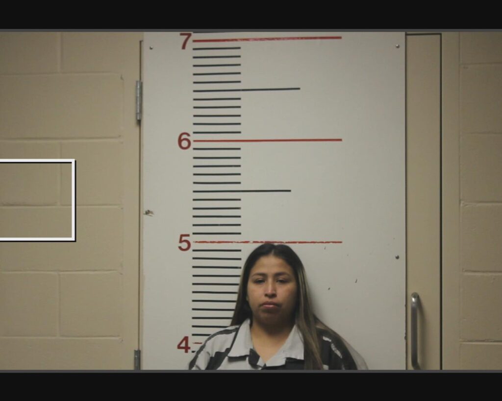 ALEMAN, MARIA DEL CARMEN arrest record in Anderson County, Texas ALEMAN, MARIA DEL CARMEN arrested in Anderson County, Texas mugshot