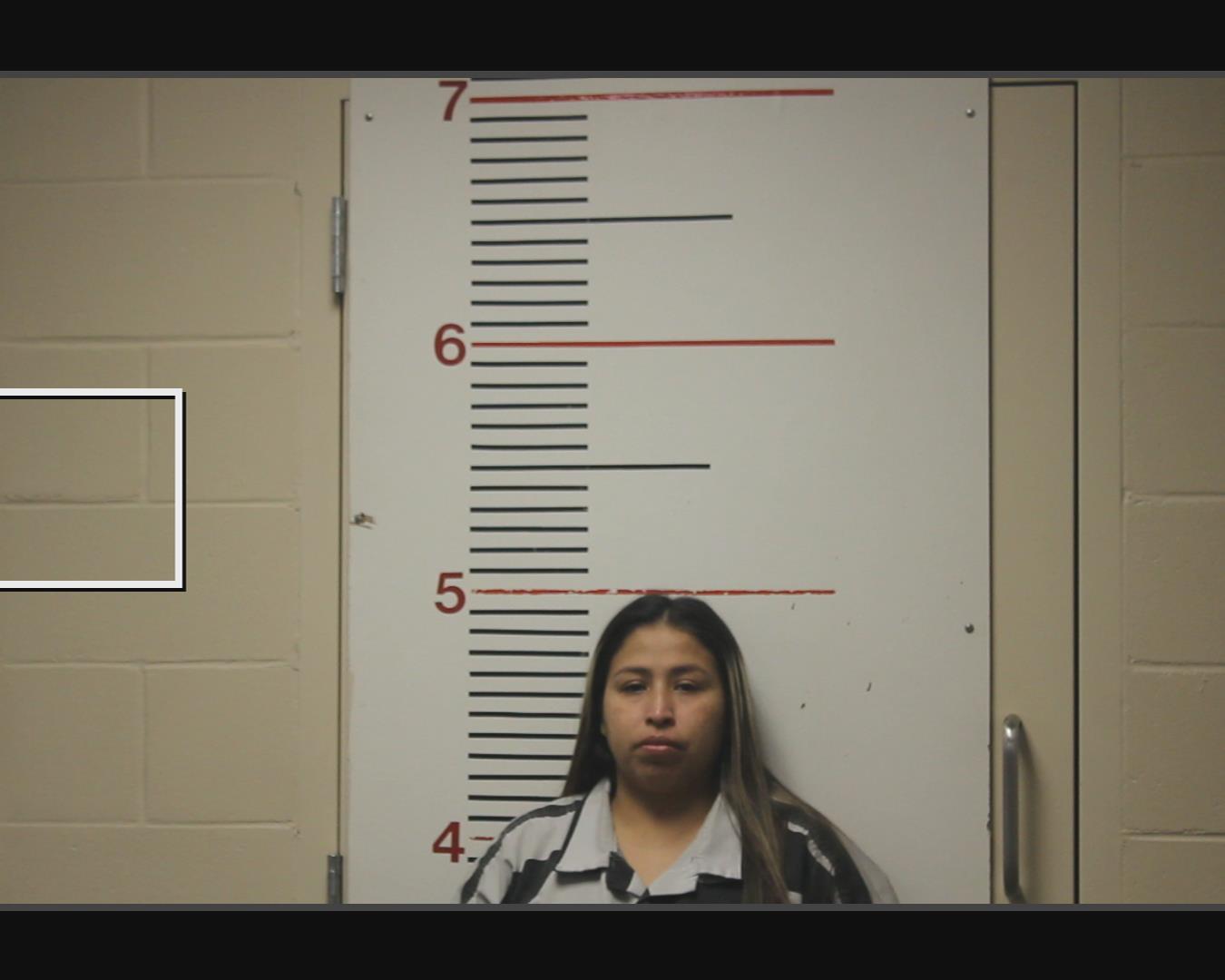 ALEMAN, MARIA DEL CARMEN booking photo