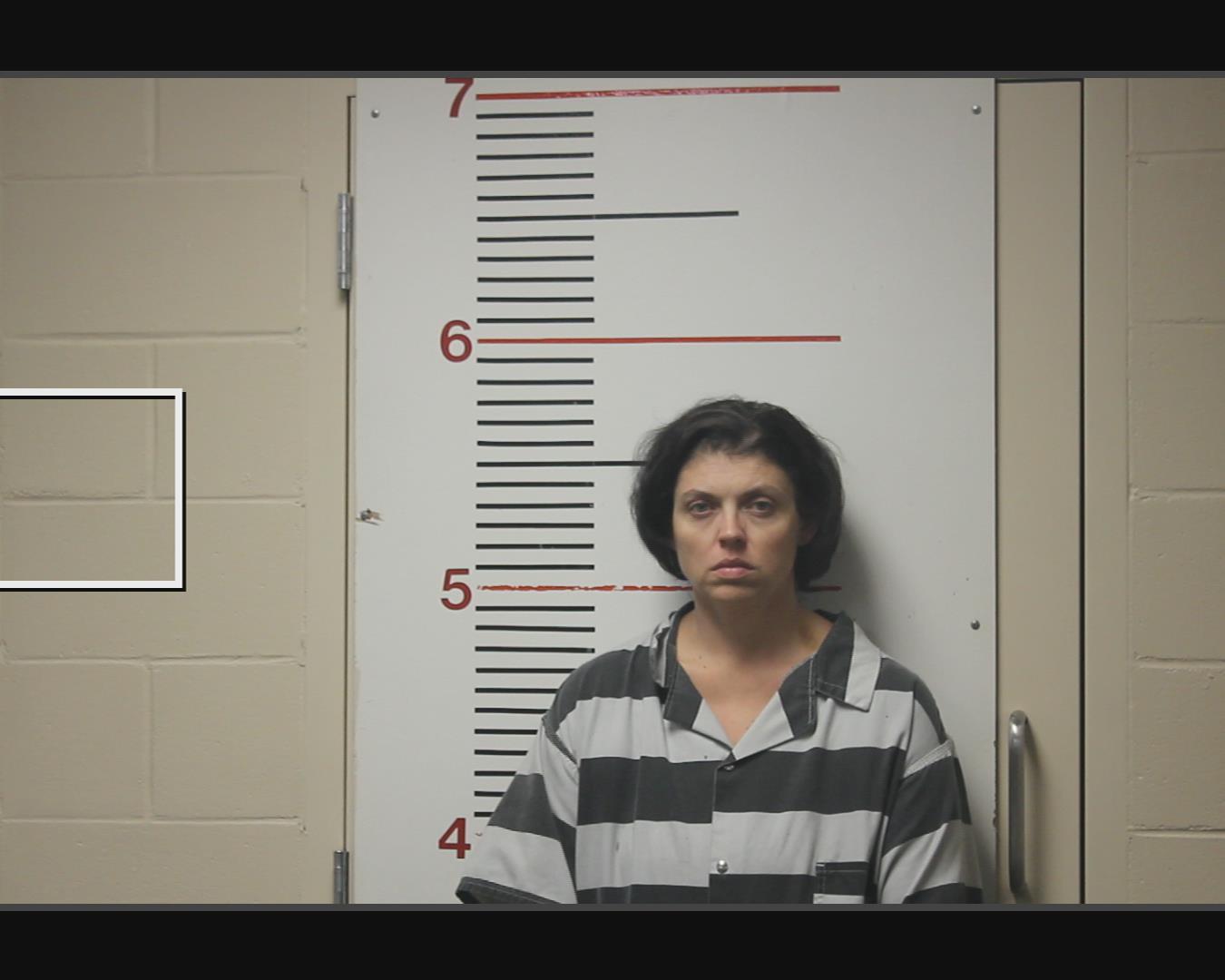 JETER, GINA RENEE arrested by Anderson County SO/PD