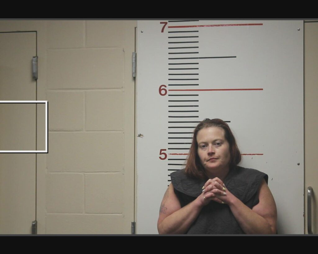 SHIPP, BARBARA IRENE arrested in Anderson County, Texas mugshot