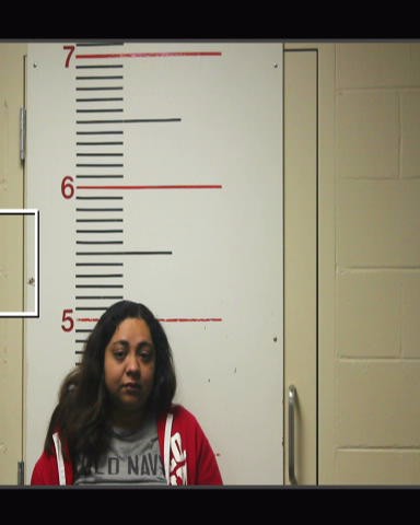 RUBIO OVIEDO, VICTORIA YAMILETT arrested by Anderson County SO/PD