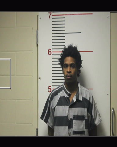 PURSLEY, ISAIAH DENZEL booking photo