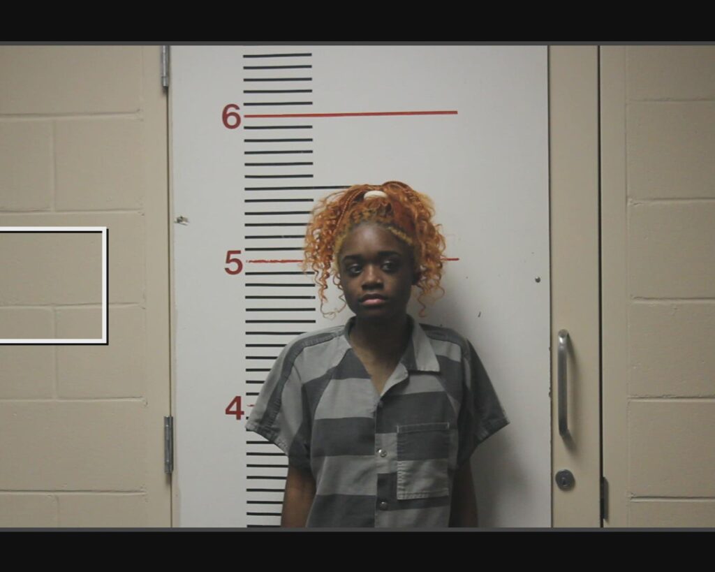 SPURLOCK, JIMEVIAH ALI arrested in Anderson County, Texas mugshot