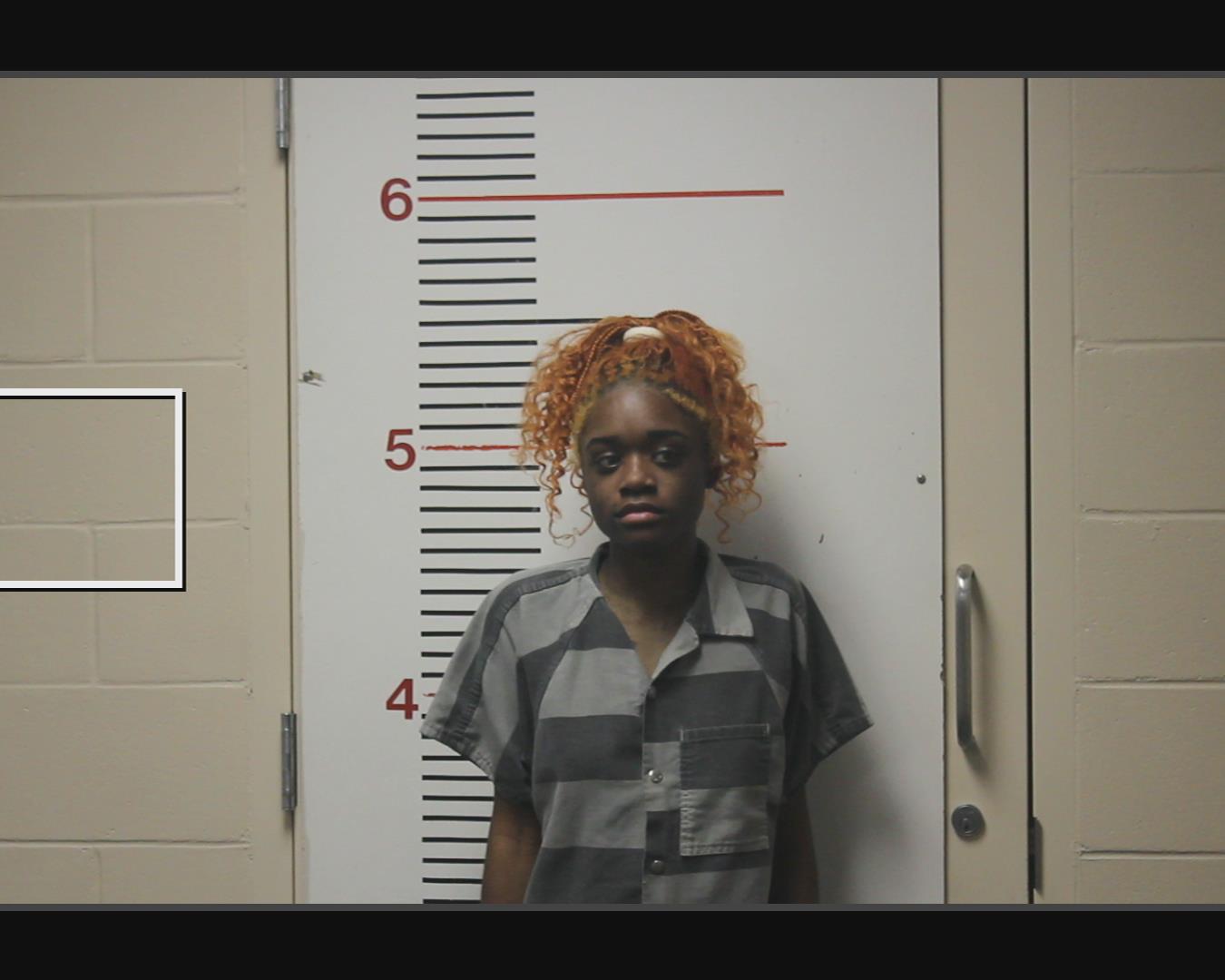 SPURLOCK, JIMEVIAH ALI booking photo