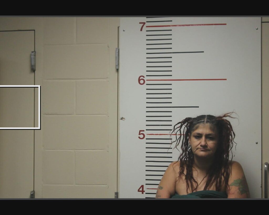 HERNANDEZ, VALENTINA arrest record in Anderson County, Texas HERNANDEZ, VALENTINA arrested in Anderson County, Texas mugshot