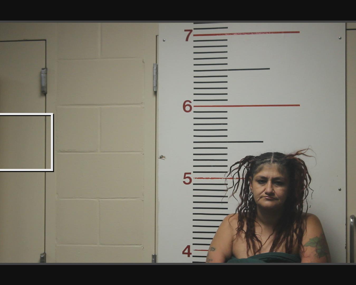 HERNANDEZ, VALENTINA booking photo