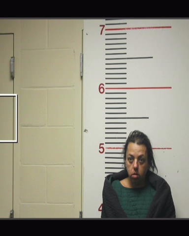PARKER, JENNIFER MICHELLE arrested by Anderson County SO/PD