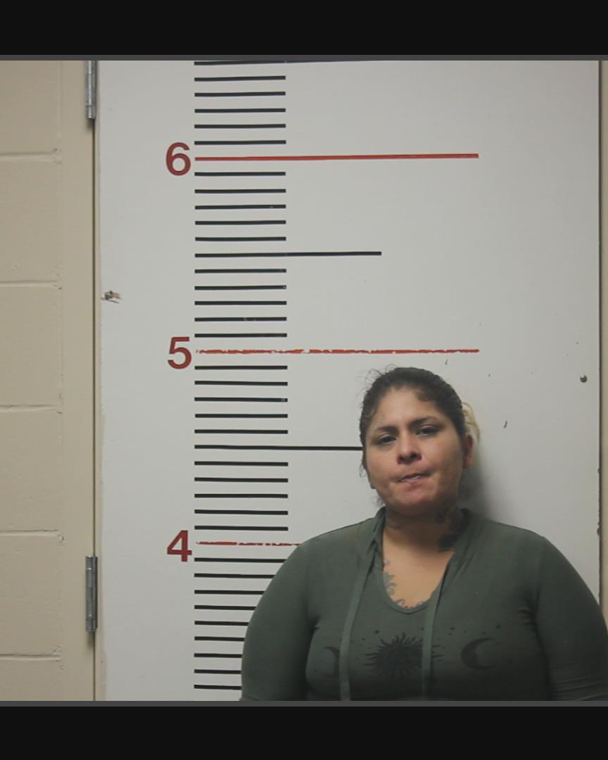 FLORES, PAULA booking photo