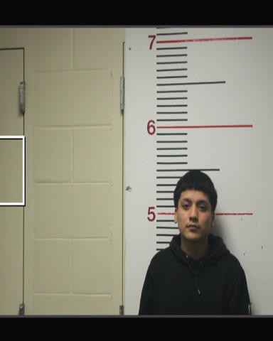 CUEVAS, RICARDO booking photo