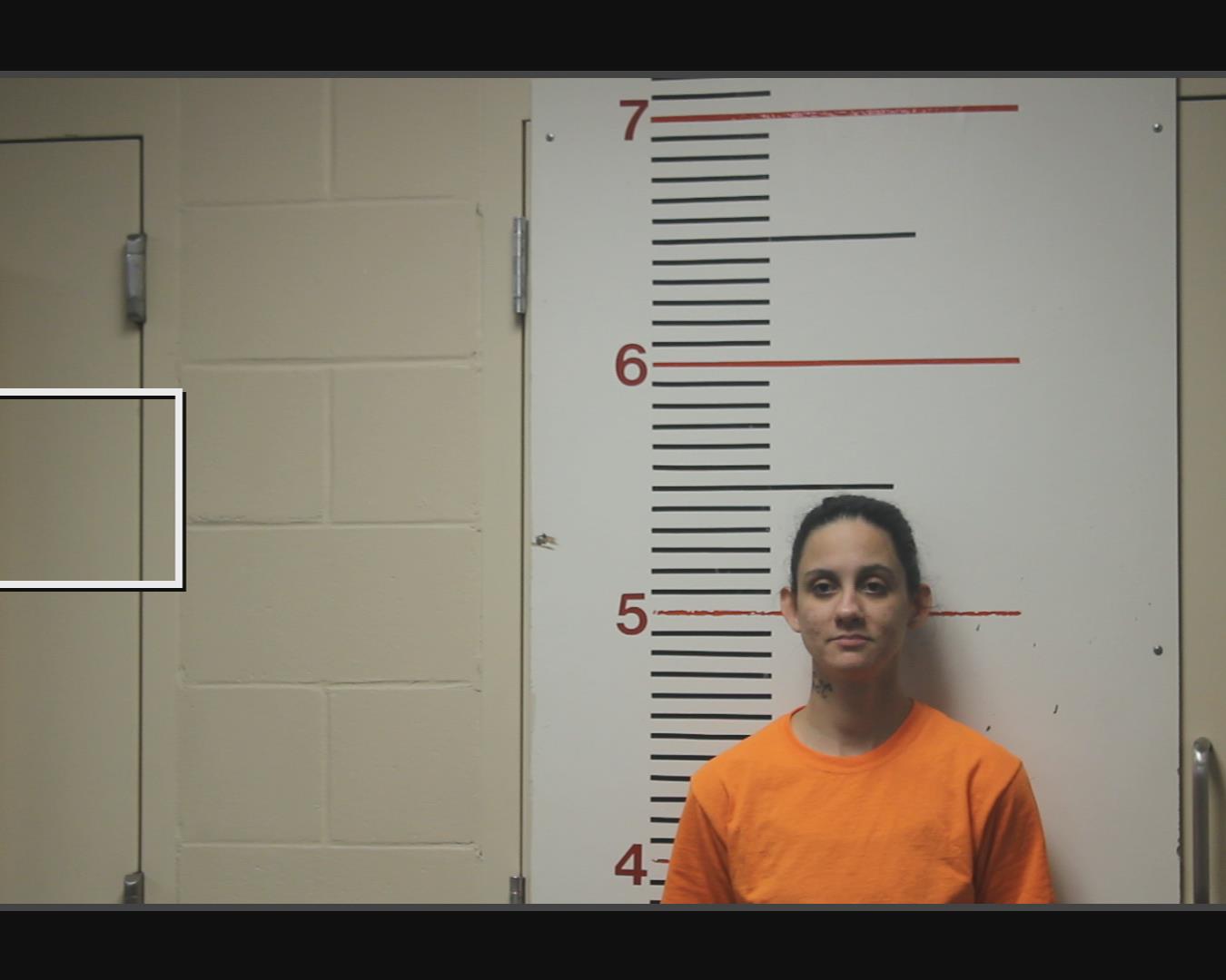 JONES, VALERIE ROSE booking photo