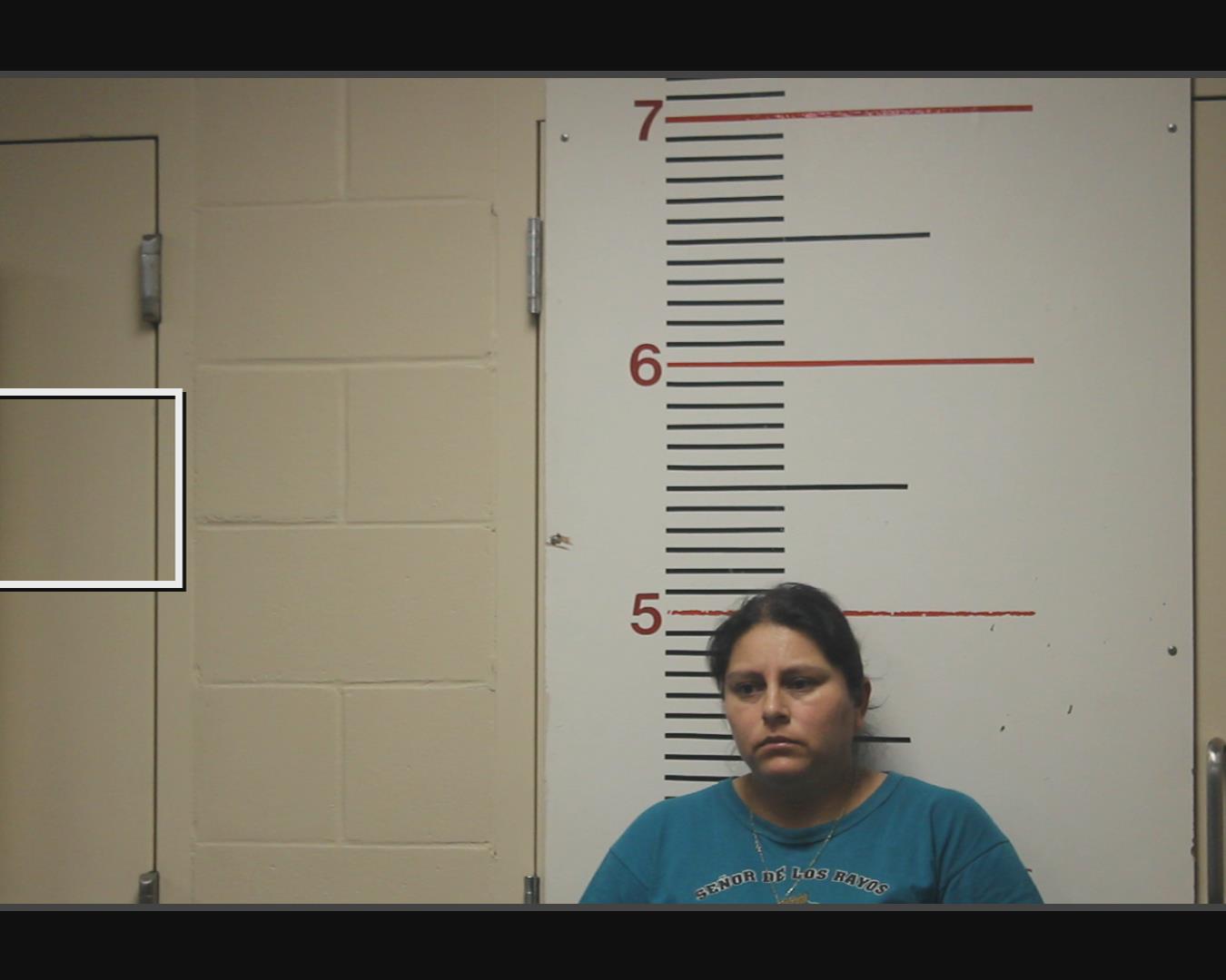 CASTRO-ESPINOZA, ISABEL CRISTINA booking photo