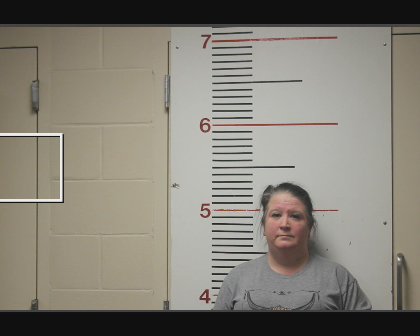 BROGDON, VALERIE NICOLE booking photo