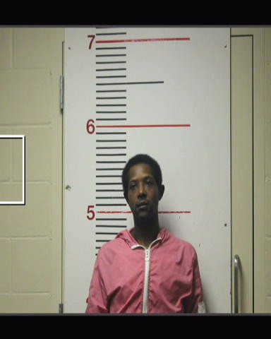 FOWLER, TRAVIAN JAMAL booking photo