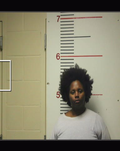 FRIDIE, YANETTA booking photo
