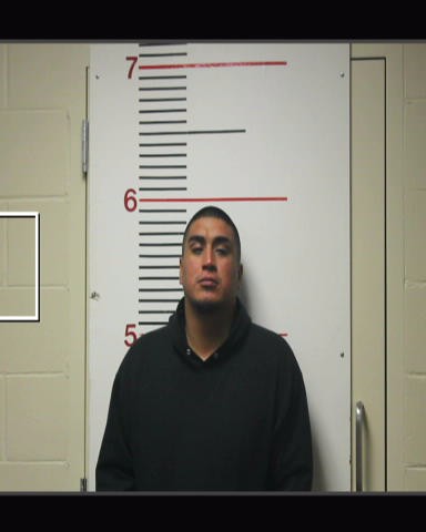 PALMA, VICENTE booking photo