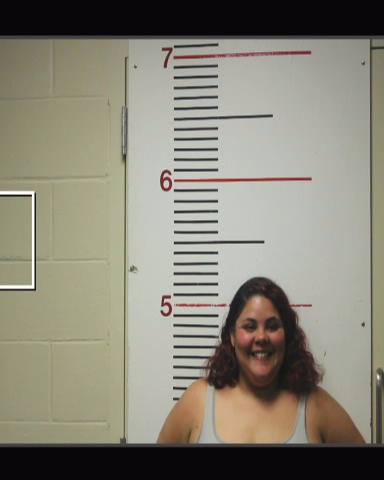 BRISCOE, CASSITY ALEXANDRIA booking photo