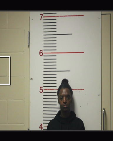 WARE, CATHERINE booking photo