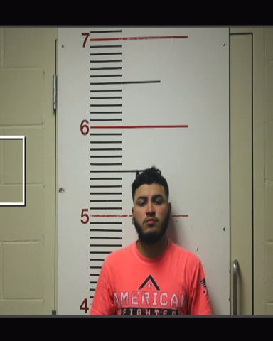 RANGEL-LINO, LUIS ROBERTO booking photo