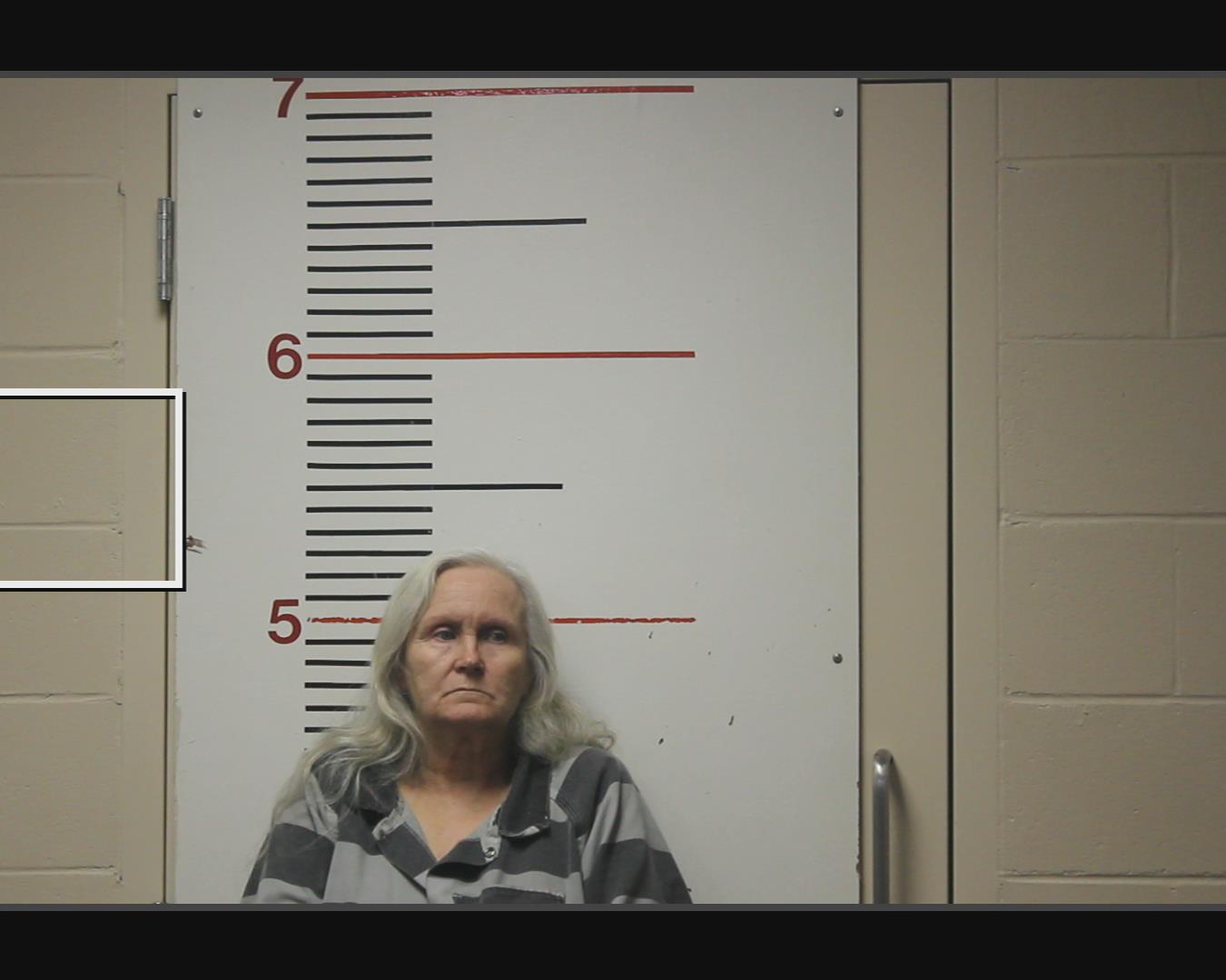 JONES, DORTOTHY JEAN booking photo