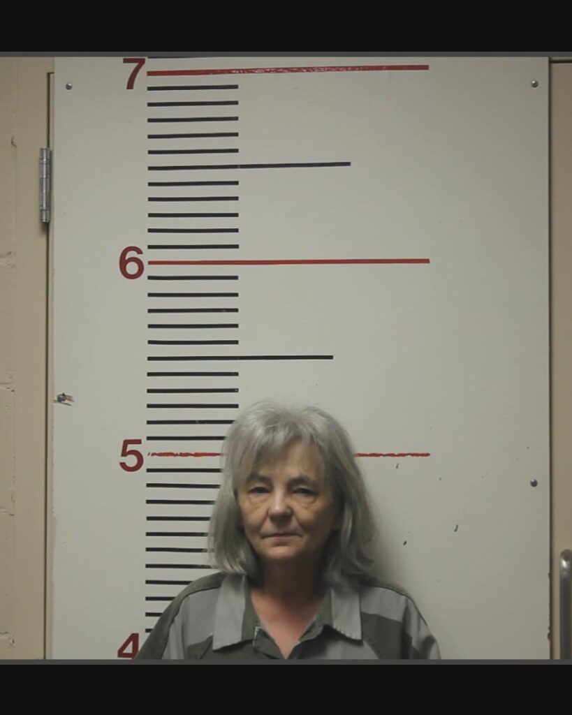 ROWELL, TERESA JOY arrested in Anderson County, Texas mugshot