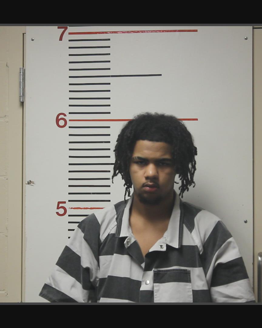 PRIEHS, CAMRON LEE booking photo