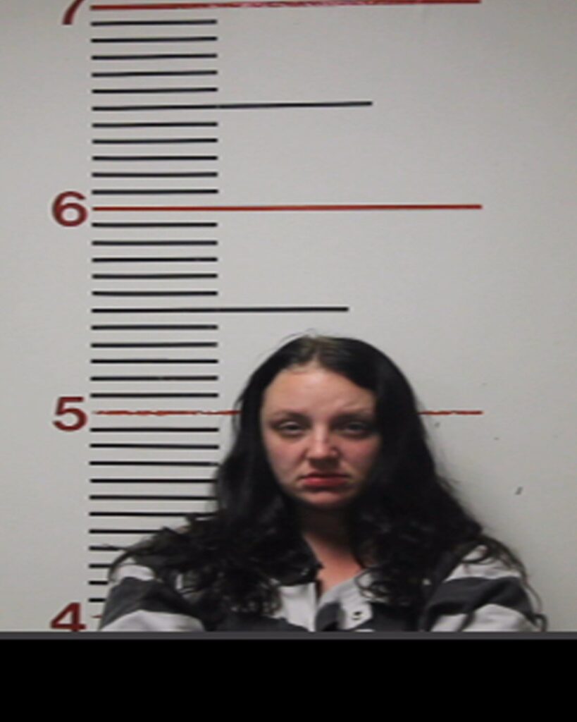 MORRIS, SABRINA DANIELLE arrest record in Anderson County, Texas MORRIS, SABRINA DANIELLE arrested in Anderson County, Texas mugshot
