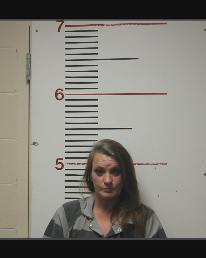 JOHNSON, WENDY RENE booking photo