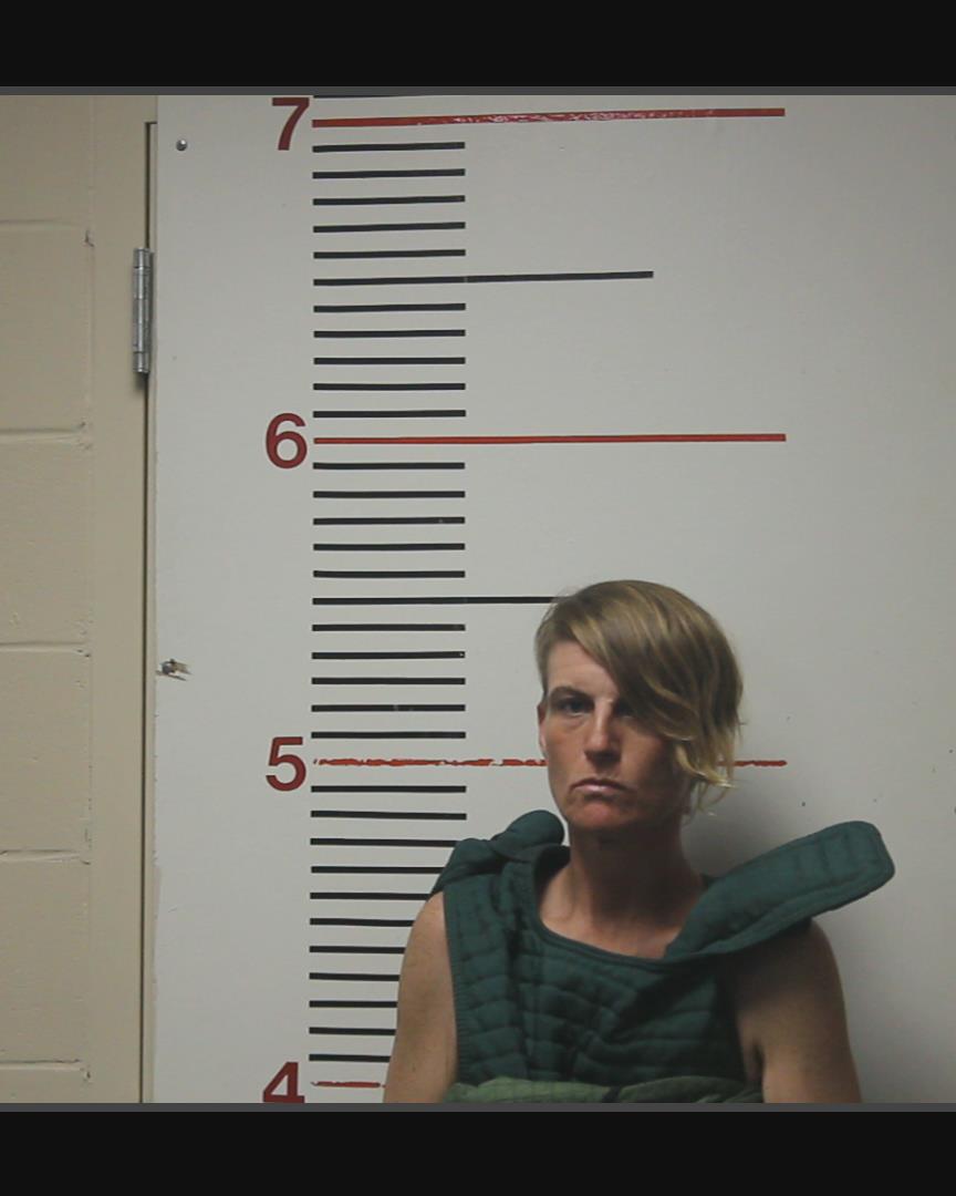 PAROLINI, ASHLEY MICHELE booking photo