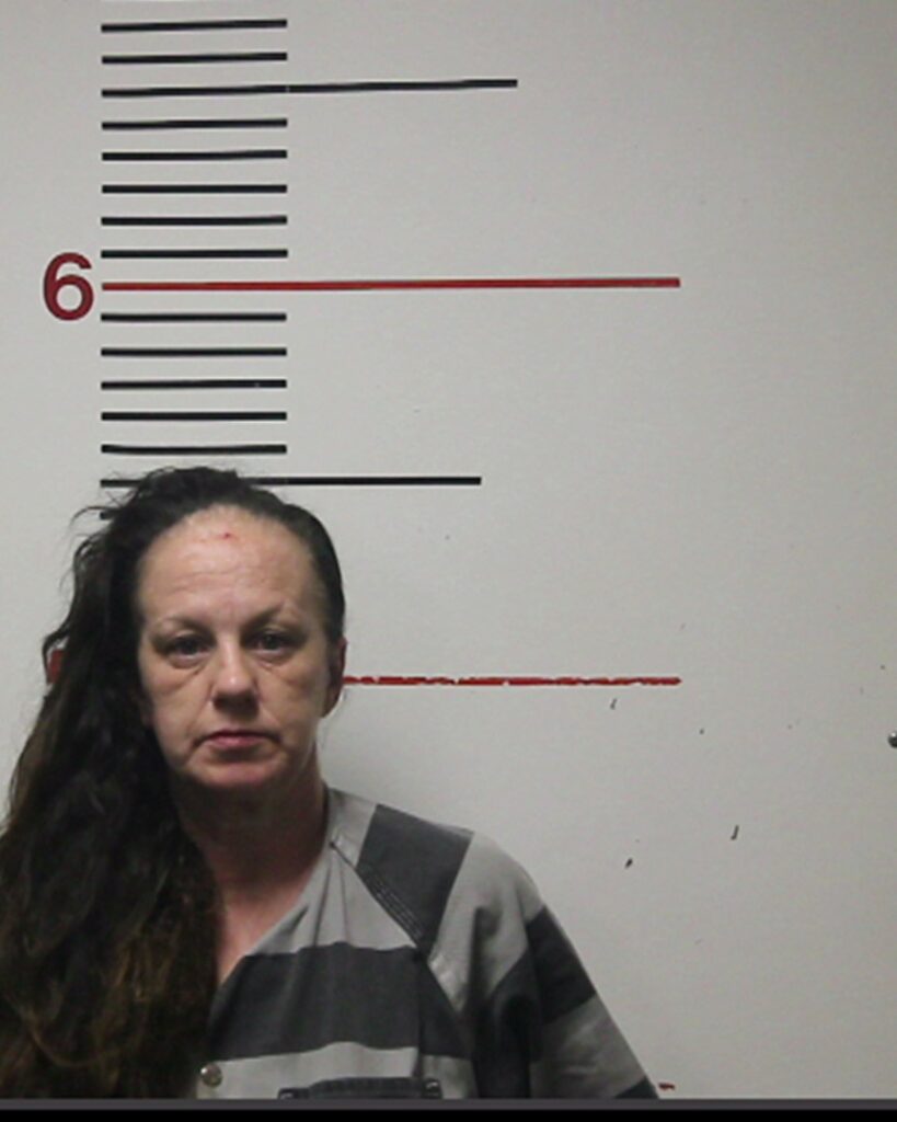 STONE, BRANDI ANN arrest record in Anderson County, Texas STONE, BRANDI ANN arrested in Anderson County, Texas mugshot