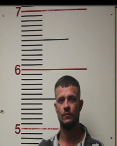 MILLS, RALEIGH THOMAS, Jr. booking photo