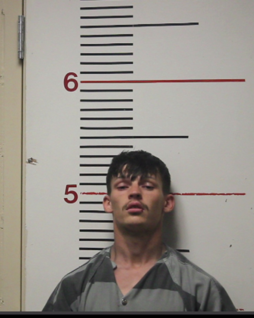 POLK, BRANDON ALEXANDER booking photo