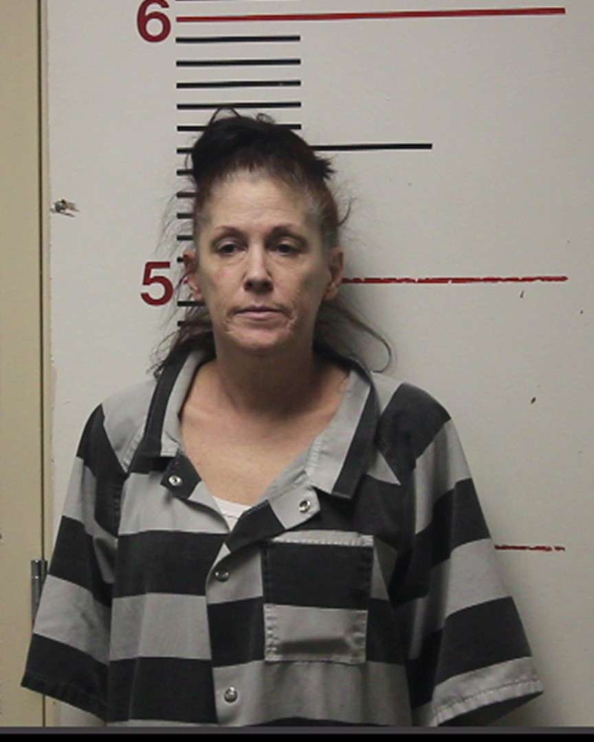DAVIS, JULIE MARVAN booking photo