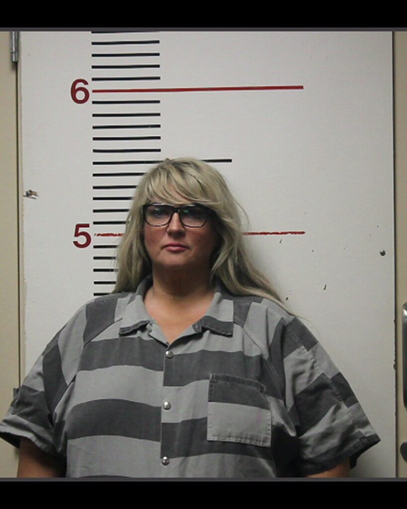 RICHARDSON, SHEILA GAIL arrested in Anderson County, Texas mugshot