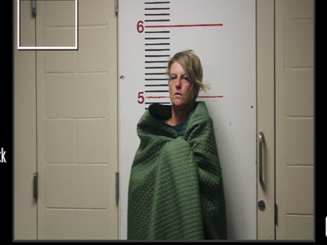 PAROLINI, ASHLEY MICHELE booking photo