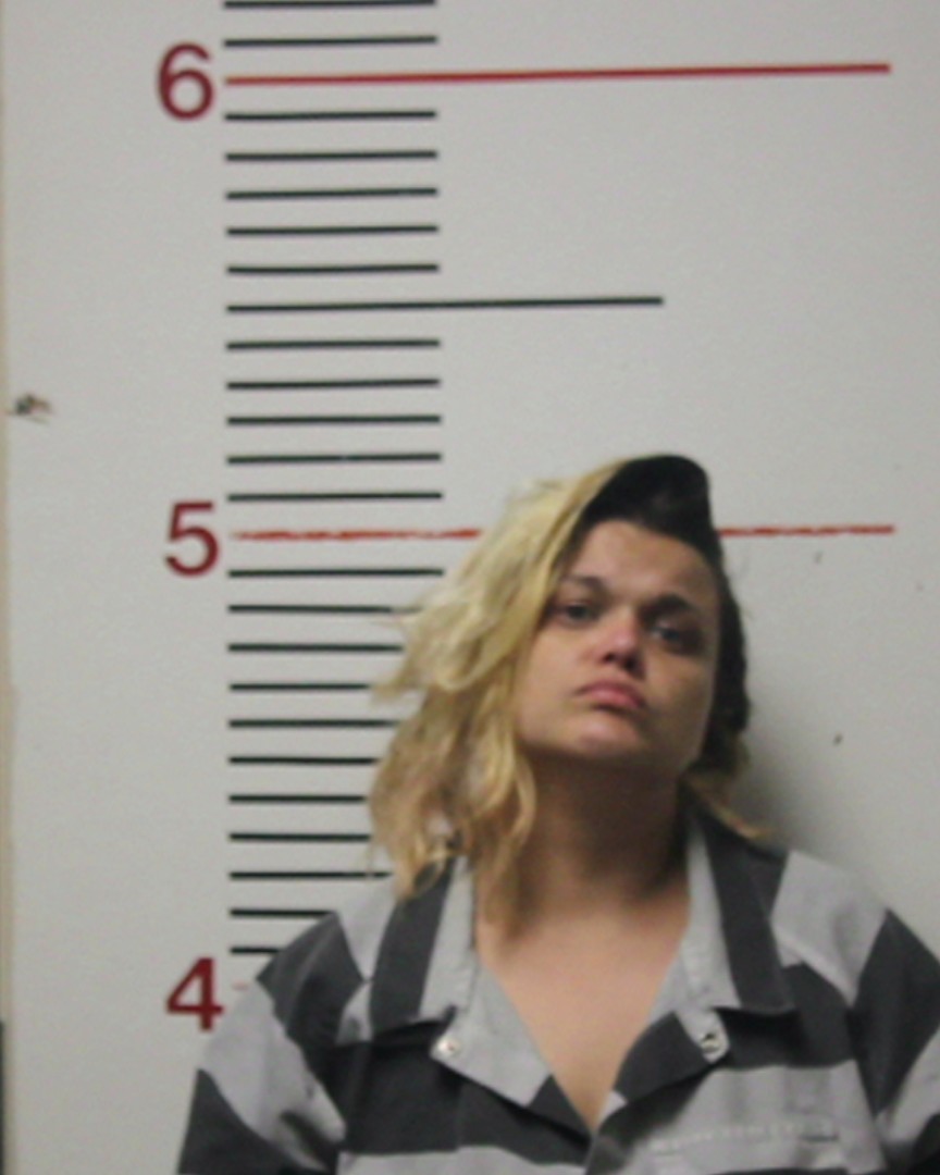 SMALLEY, KIMBERLY CAROL booking photo