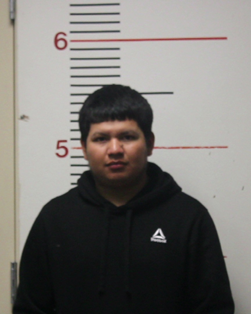 RAMIREZ-SORIA, CARLOS DANIEL booking photo