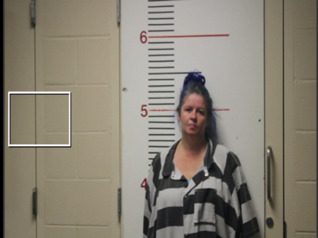 HILL, TISHA MICHELLE booking photo