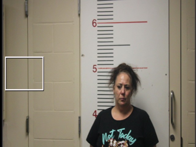 HAYS, GAYLE LYNN booking photo