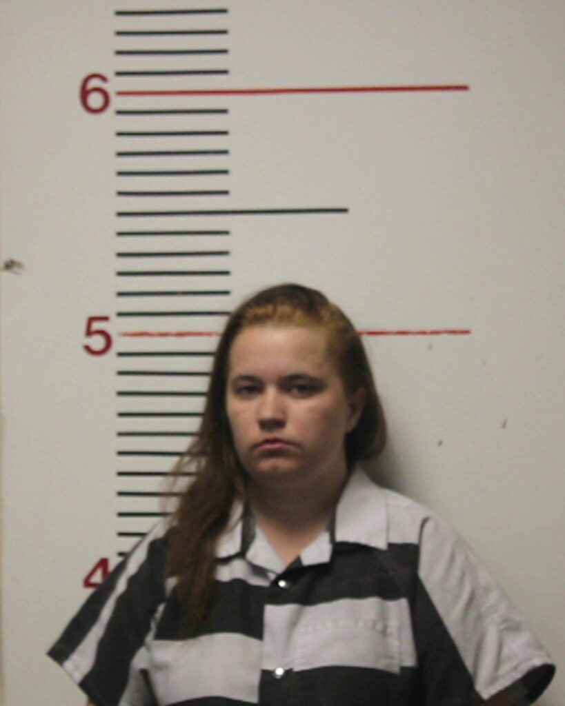COLLINS, KATALINA RAVEN SHYANN arrest record in Anderson County, Texas COLLINS, KATALINA RAVEN SHYANN arrested in Anderson County, Texas mugshot
