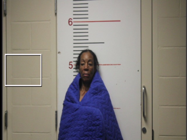 JOHNSON, PATRICE PAULINE booking photo