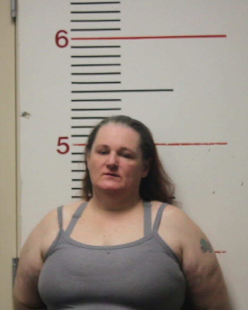 LOTT, LORENNA SCHAVON arrest record in Anderson County, Texas LOTT, LORENNA SCHAVON arrested in Anderson County, Texas mugshot