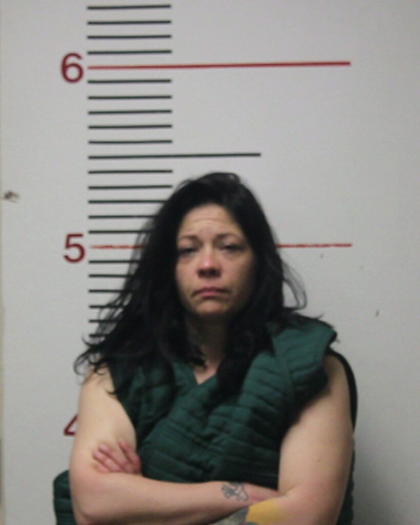 HARVEY, KAREN MICHELLE arrest record in Anderson County, Texas HARVEY, KAREN MICHELLE arrested in Anderson County, Texas mugshot