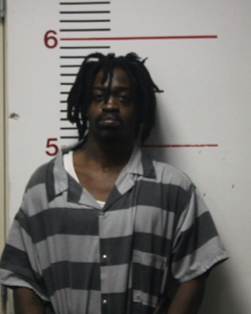 BROWN, ORELESSA DERREON MARQUIS arrested in Anderson County, Texas mugshot